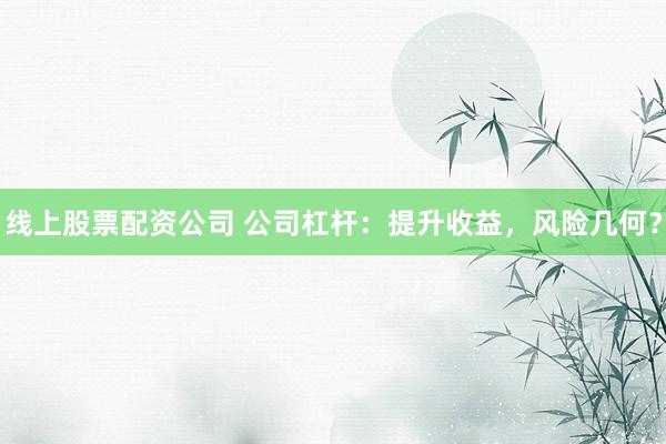 线上股票配资公司 公司杠杆：提升收益，风险几何？