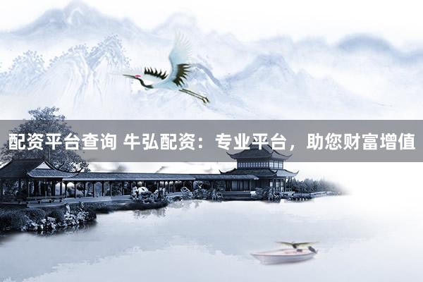 配资平台查询 牛弘配资：专业平台，助您财富增值