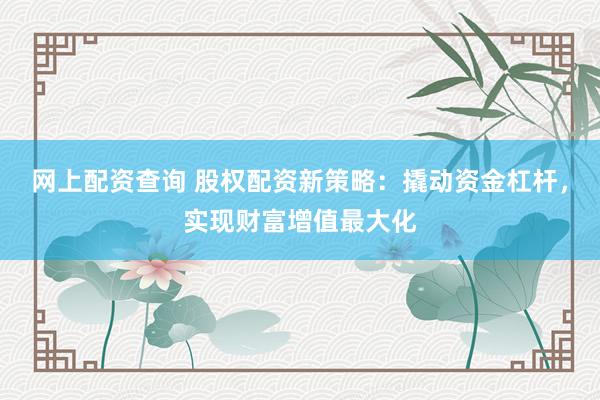 网上配资查询 股权配资新策略：撬动资金杠杆，实现财富增值最大化