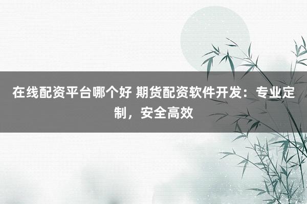在线配资平台哪个好 期货配资软件开发：专业定制，安全高效