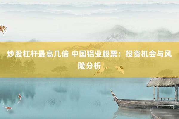 炒股杠杆最高几倍 中国铝业股票：投资机会与风险分析