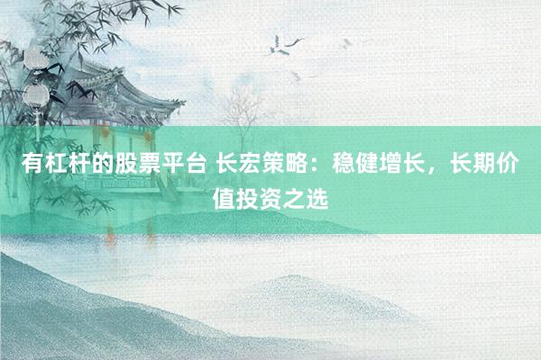 有杠杆的股票平台 长宏策略：稳健增长，长期价值投资之选