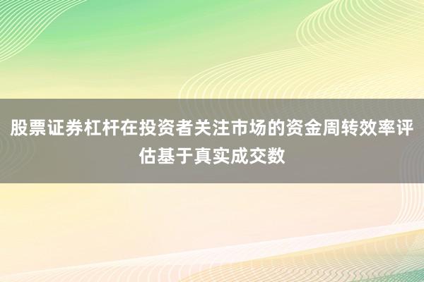 股票证券杠杆在投资者关注市场的资金周转效率评估基于真实成交数