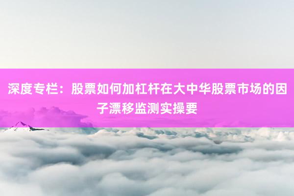 深度专栏：股票如何加杠杆在大中华股票市场的因子漂移监测实操要