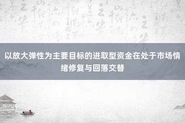 以放大弹性为主要目标的进取型资金在处于市场情绪修复与回落交替