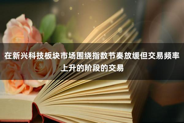 在新兴科技板块市场围绕指数节奏放缓但交易频率上升的阶段的交易