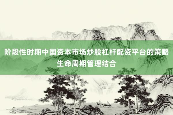 阶段性时期中国资本市场炒股杠杆配资平台的策略生命周期管理结合