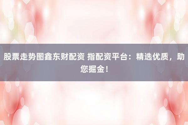 股票走势图鑫东财配资 指配资平台:精选优质,助您掘金!