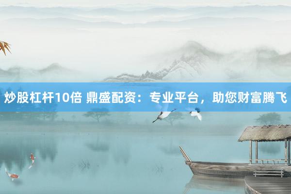 炒股杠杆10倍 鼎盛配资：专业平台，助您财富腾飞