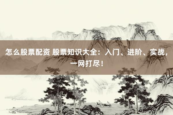 怎么股票配资 股票知识大全：入门、进阶、实战，一网打尽！