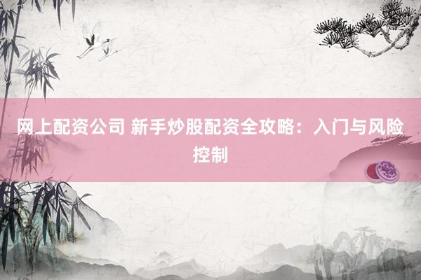 网上配资公司 新手炒股配资全攻略:入门与风险控制