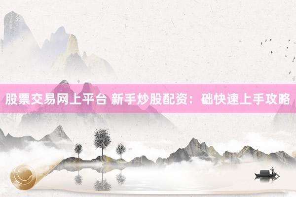 股票交易网上平台 新手炒股配资：础快速上手攻略