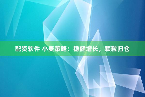 配资软件 小麦策略：稳健增长，颗粒归仓